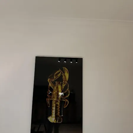 Aan Zee En Stad, Super Locatie En Volledig Gerenoveerd! 아파트 오스텐드